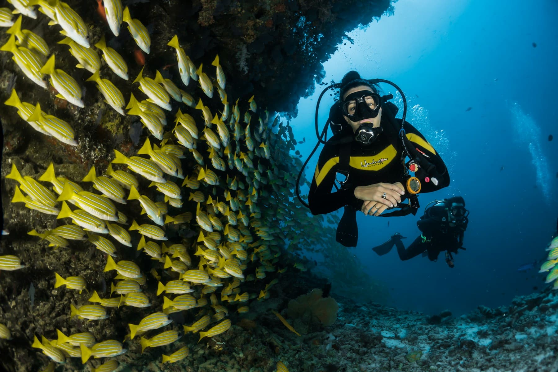 Scuba diver exploring a tropical reef, shown as an illustrative tour image